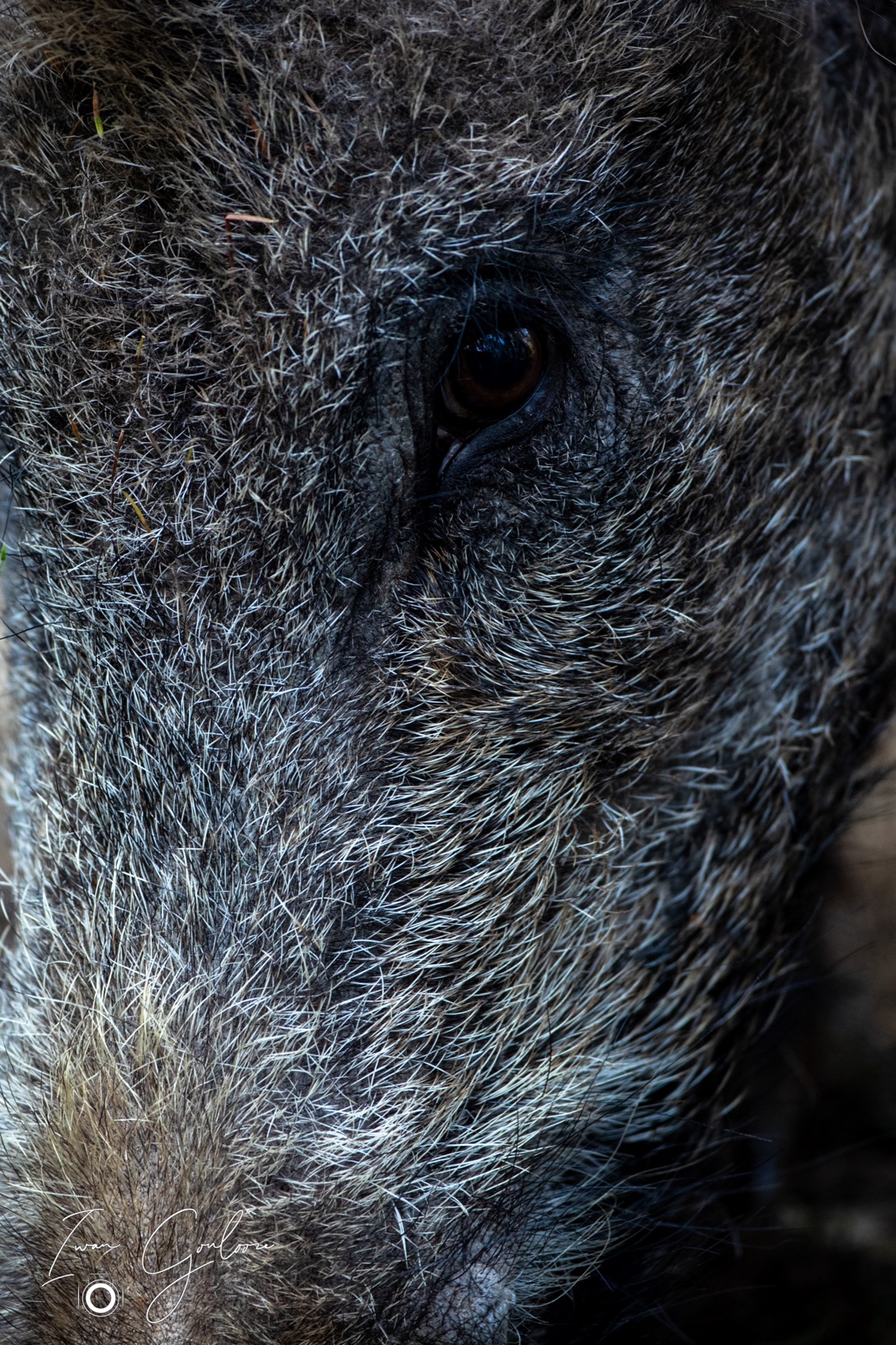 08 mei 2022 181012 1DX42886